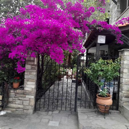 Papatzikos Traditional Guesthouse Neos Marmaras Bagian luar foto