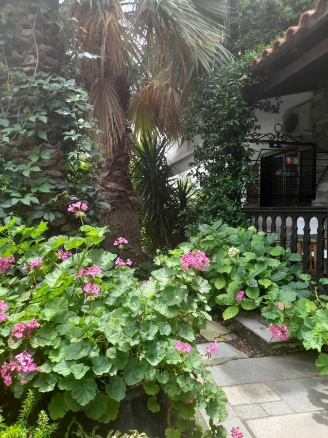 Papatzikos Traditional Guesthouse Neos Marmaras Bagian luar foto